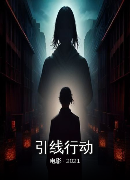 《引线行动》海报
