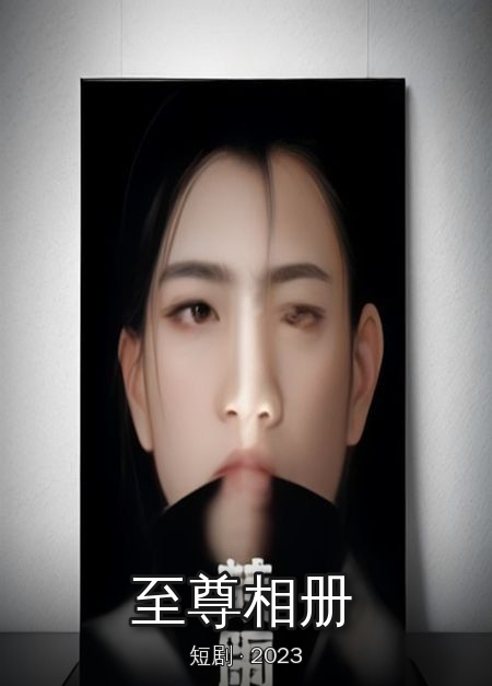 《至尊相册》海报